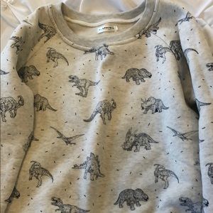 Dinosaur crew neck sweatshirt